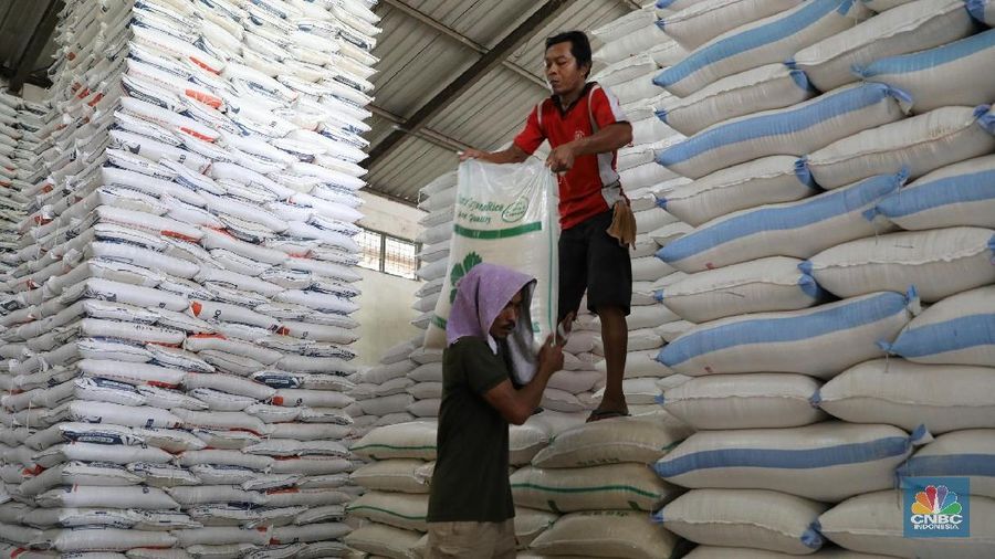 Volume beras impor diperkirakan kembali berkurang menjadi hanya 261.000 ton.