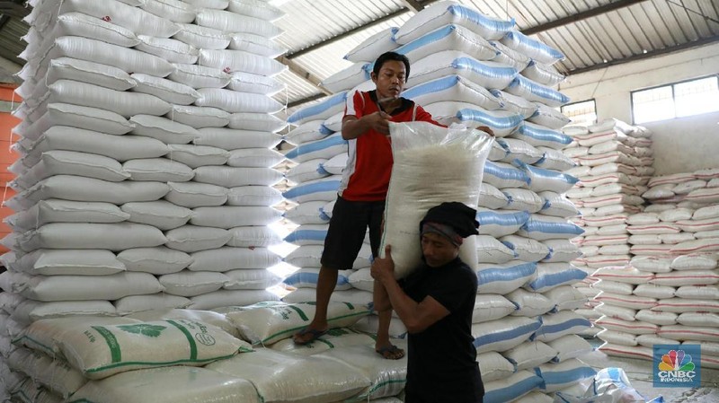 Volume beras impor diperkirakan kembali berkurang menjadi hanya 261.000 ton.