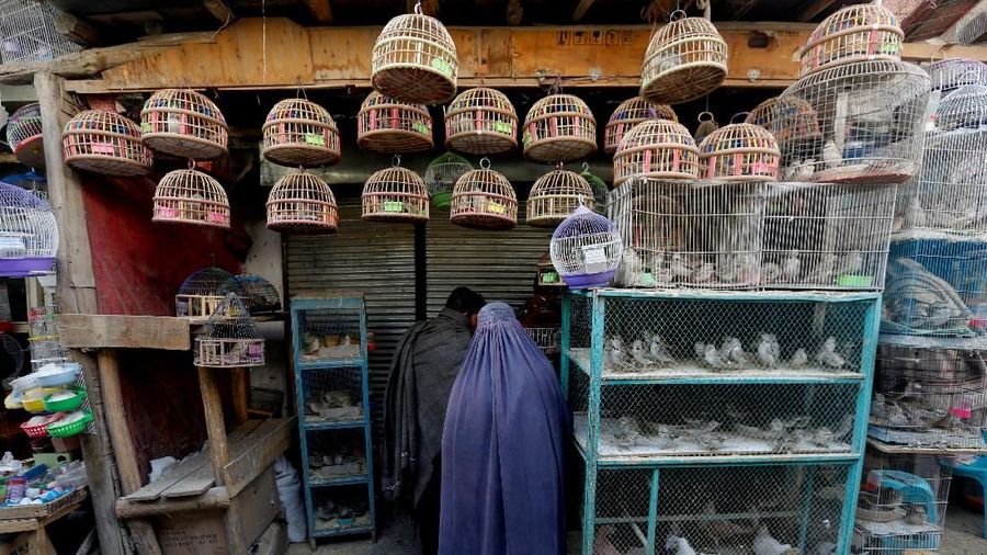 An Afghan woman clad in burqa stands in front of a shop at Ka Faroshi bird market in Kabul, Afghanistan, January 18, 2018. REUTERS/Mohammad Ismail     SEARCH "BIRD MARKET" FOR THIS STORY. SEARCH "WIDER IMAGE" FOR ALL STORIES.