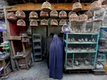 Sayap Sukacita Pasar Burung Kabul