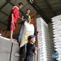 Sejumlah kuli panggul sedang membawa karung beras di Pasar Induk Beras, Cipinang, Jakarta (7/2/2018). Perum Bulog akan mengimpor beras dari tiga negara yaitu Thailand, Vietnam dan India dengan jumlah maksumum 281.000 ton, namun jumlah tersebut berbed