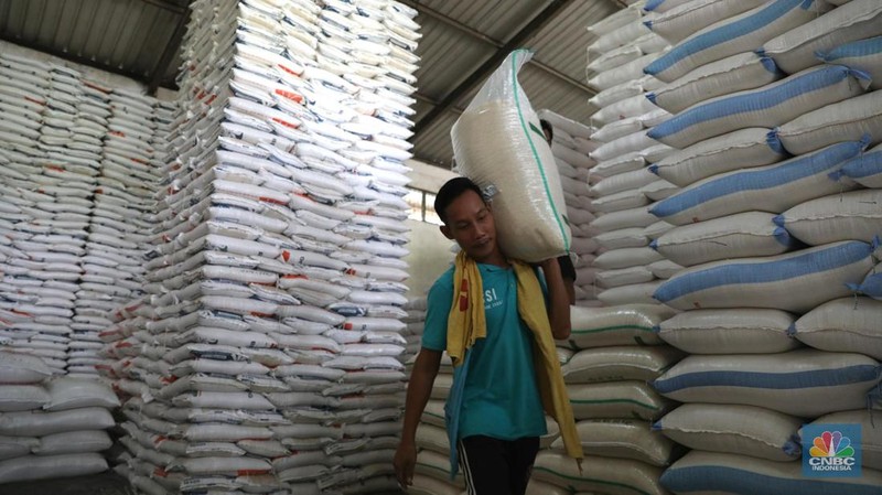 Volume beras impor diperkirakan kembali berkurang menjadi hanya 261.000 ton.