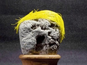 Jepang Punya Museum Batu yang Menyerupai Wajah Manusia