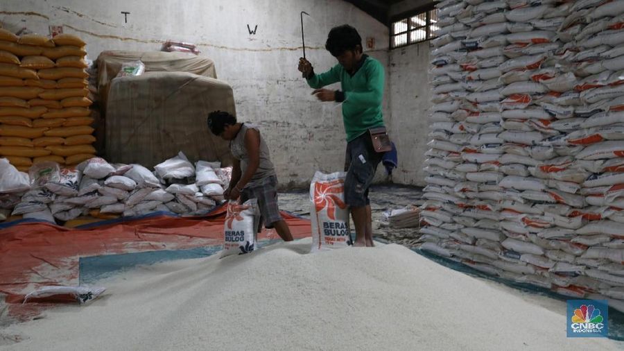 Volume beras impor diperkirakan kembali berkurang menjadi hanya 261.000 ton.