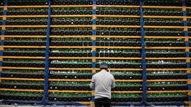 FOTO: Hutan 'Disulap' Jadi Pusat Penambangan Bitcoin