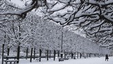 Sementara pohon-pohon di Palais Royal Garden yang tampak dalam foto ini seolah berdaun putih menyusul badai salju tersebut. (AFP Photo/Joel Saget)