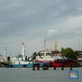 Ekspor Batu Bara Wajib Pakai Kapal RI, Ini Respons Pelayaran