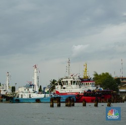 Ekspor Batu Bara Wajib Pakai Kapal RI, Ini Respons Pelayaran
