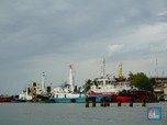 Ekspor Batu Bara Wajib Pakai Kapal RI, Ini Respons Pelayaran