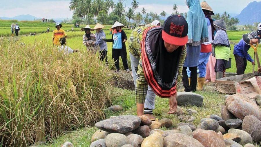 Program padat karya tunai kementerian PUPR terus bergulir, presiden Jokowi tinjau Irigasi kecil di tanah datar