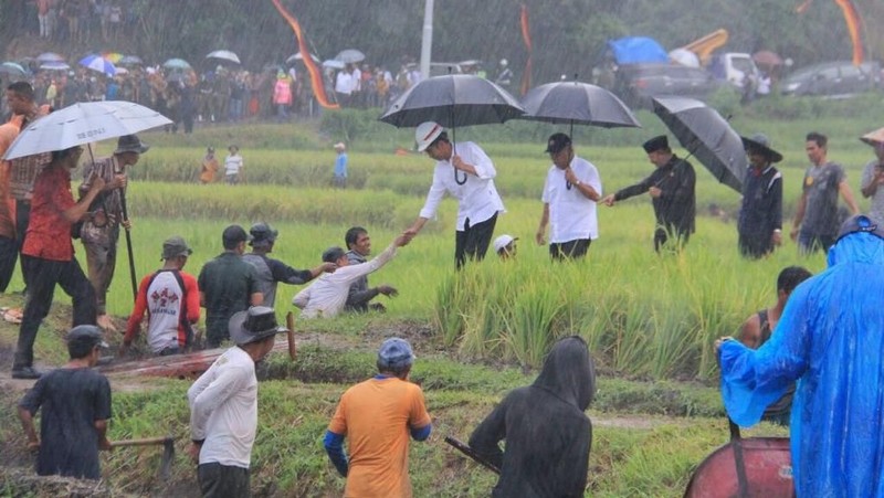 Program padat karya tunai kementerian PUPR terus bergulir, presiden Jokowi tinjau Irigasi kecil di tanah datar