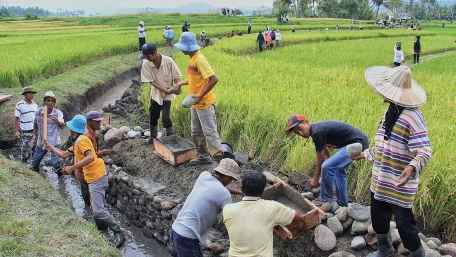 Program padat karya tunai kementerian PUPR terus bergulir, presiden Jokowi tinjau Irigasi kecil di tanah datar