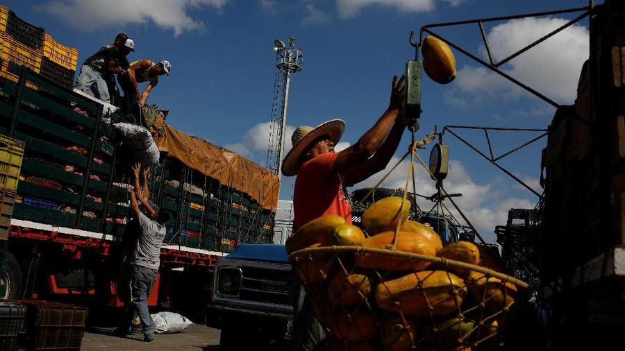 Workers load merchandise into Humberto Aguilar's truck next to a papaya seller at the wholesale market in Barquisimeto, Venezuela January 30, 2018. REUTERS/Carlos Garcia Rawlins SEARCH 
