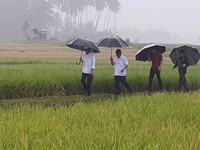 Hujan Deras, Jokowi Tinjau Program Padat Karya Tunai