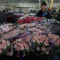 Hari Valentine Jadi Berkah Bagi Pengangguran di Kolombia