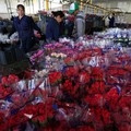 Awal Mula Valentine: dari Pembunuhan ke Perayaan Kasih Sayang