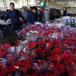 Awal Mula Valentine: dari Pembunuhan ke Perayaan Kasih Sayang