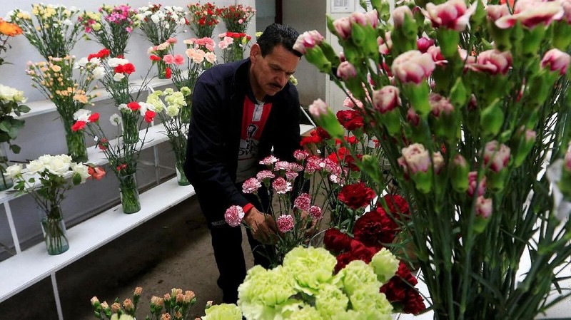Kolombia menjadi salah satu negara terbesar yang penyuplai bunga di Hari Valentine, salah satunya negara tujuannya ialah Amerika Serikat dan Kanada.