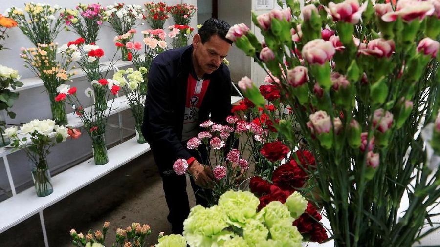 Karyawan mengatur karangan bunga untuk diekspor ke luar negeri, menjelang Hari Valentine, di Discovery Farm di Facatativa, Kolombia 8 Februari 2018. REUTERS / Jaime Saldarriaga