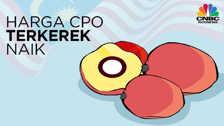 CPO CPO