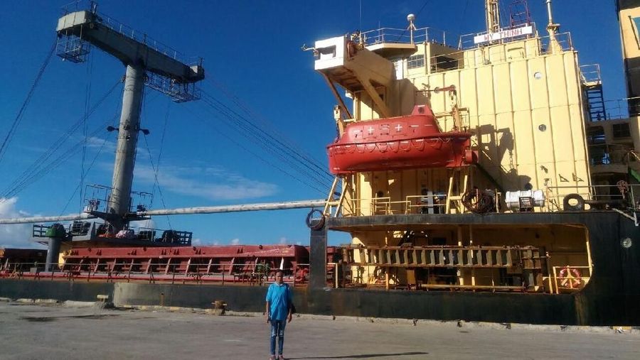 Bongkar Muat Beras Impor (foto : Bulog)