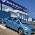 Laba Blue Bird Naik 40 Kali Lipat, Ini Penyebabnya