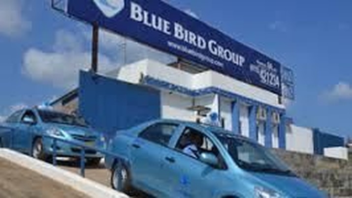 Blue bird foto : bluebirdgroup.com