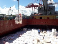 Bulog Kaji Impor Beras dengan Kapal Nasional