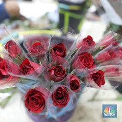 Gokil! Fans di Jepang Kirim Kado Valentines ke Karakter Game