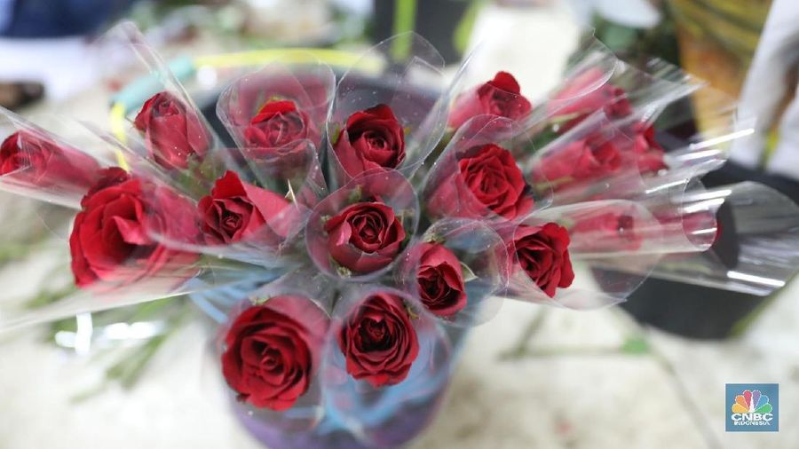 Pengunjung memilih bunga di Kawasan Pasar Bunga Rawa Belong, Jakarta Barat, Selasa (13/2). Jelang hari valentine pasar bunga rawa belong banyak di kunjungi pembeli. Para pedagang banyak meraup keuntungan dari penjualannya. Harga mawar yang biasa dijual 100 ribu per 20 tangkai naik menjadi 200 ribu per 20 tangkai dikarenakan banyak peminat yang ingin beli. Kebanyakan para pembeli dari kalangan remaja dan anak sekolah. (CNBC Indonesia/Muhammad Sabki)