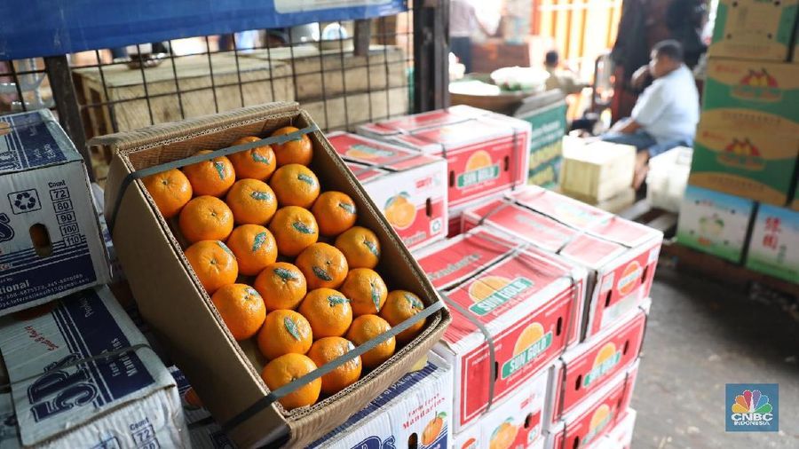 Menteri Perdagangan menegaskan tidak ada permintaan jeruk mandarin asal China.
