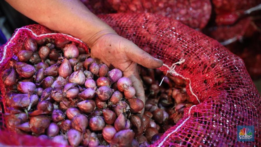 Kementerian Pertanian temukan 10 importir bawang merah imitasi di pasaran, bisa untung triliunan rupiah. 