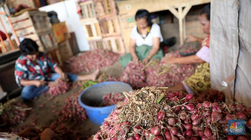Beberapa harga komoditas pangan pantauan di Pasar Induk Kramat Jati mengalami penurunan parga