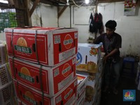 Ya Ampun, Jeruk Mandarin & Apel dari China Banjiri RI
