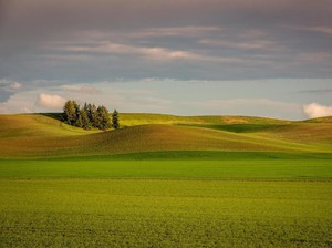 Biosfer: Pengertian, Komponen, dan Contohnya