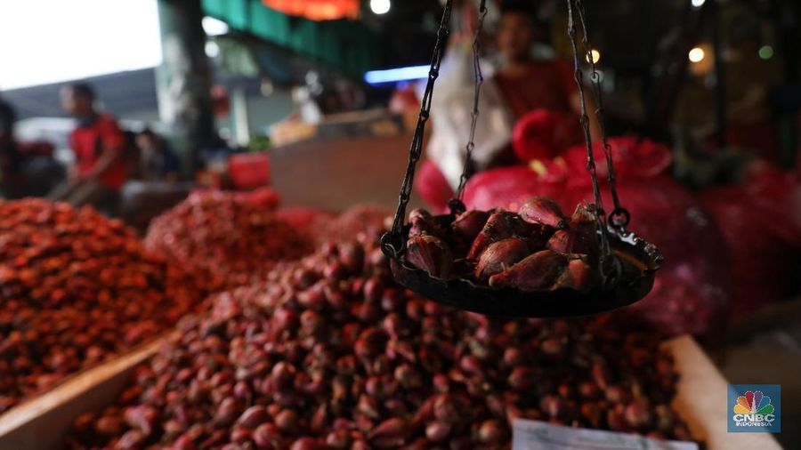 Beberapa harga komoditas pangan pantauan di Pasar Induk Kramat Jati mengalami penurunan parga