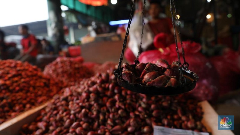 Beberapa harga komoditas pangan pantauan di Pasar Induk Kramat Jati mengalami penurunan parga