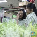 Simak 5 Tips agar Otak Anak Berkembang Optimal dari Ahli Harvard