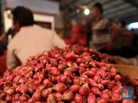 Inflasi Inti Rendah, Sinyal Daya Beli Turun?