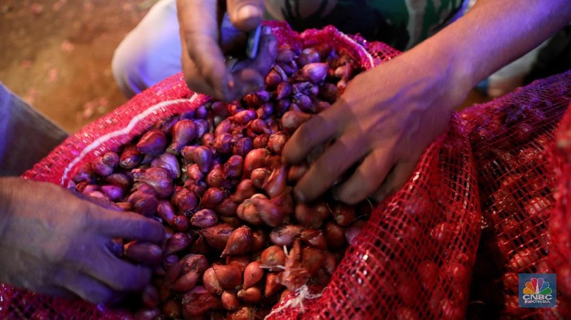 Beberapa harga komoditas pangan pantauan di Pasar Induk Kramat Jati mengalami penurunan parga