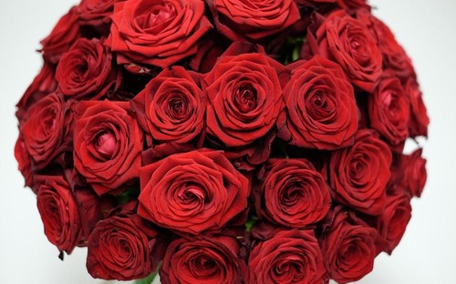 Ini Buket Bunga Paling Mahal untuk Hari Valentine, Harganya Rp 94 Juta Ini Buket Bunga Paling Mahal untuk Hari Valentine, Harganya Rp 94 Juta