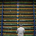 Jangan Ketinggalan, Kripto Lagi Pesta Cuan