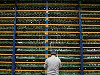 Staking Vs Mining Kripto, Lebih Untung Mana?