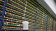Gokil, Platform Kripto Ini Tawarkan Settlement Real Time