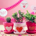 Beri Hadiah Untuk Orang Terkasih Lewat Send Gifts Allo Bank