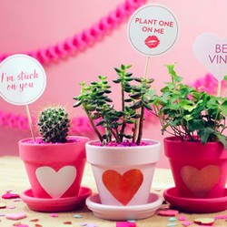 Beri Hadiah Untuk Orang Terkasih Lewat Send Gifts Allo Bank