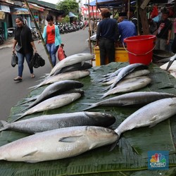 10 Ikan Ini Mengandung Merkuri Tinggi, Orang RI Suka Makan