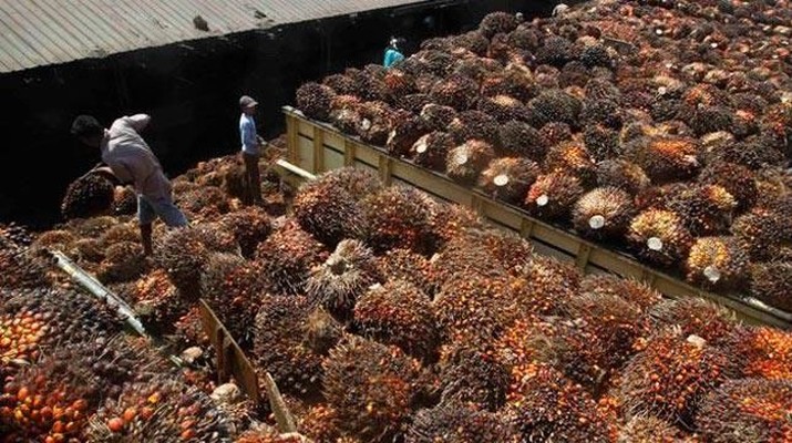 Rata-rata harga CPO untuk triwulan II 2018 diprediksikan akan sebesar MYR 2.500/ton, atau turun sekitar 0,87% dari rata-rata harga kelapa CPO di triwulan I 2018