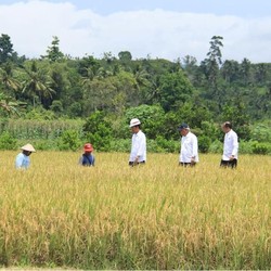 Tak Kira-kira, Ekonomi Daerah Ini Tumbuh 27%