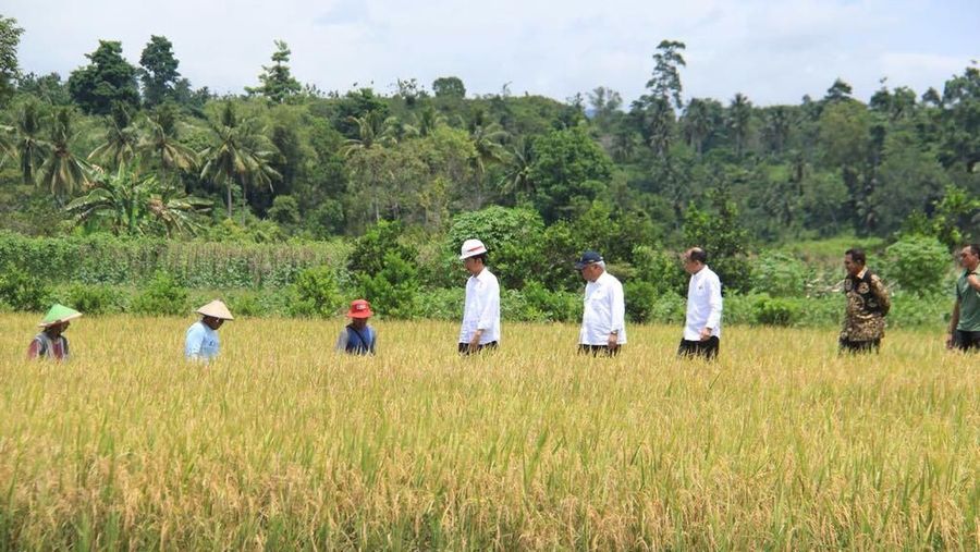 Presiden Tinjau Program Padat Karya Tunai di Seram Bagian Barat.